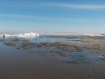 Ученые ВНИРО исследуют биоразнообразие озер Алтайского края