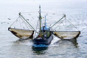 Промышленное рыболовство