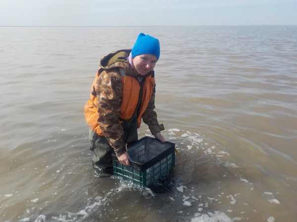 Мониторинговые исследования на гипергалинных озерах Алтайского края
