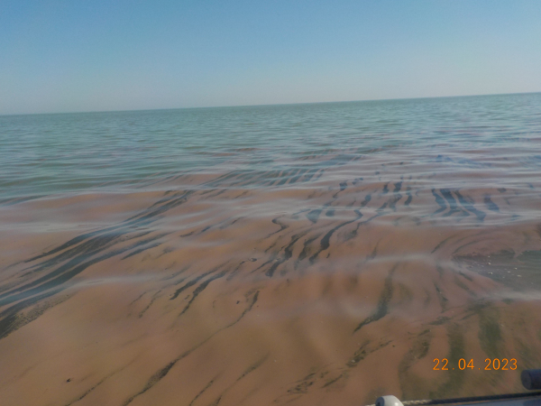 Специалисты «АлтайНИРО» провели мониторинговые исследования гипергалинных и солоноватых водоемов